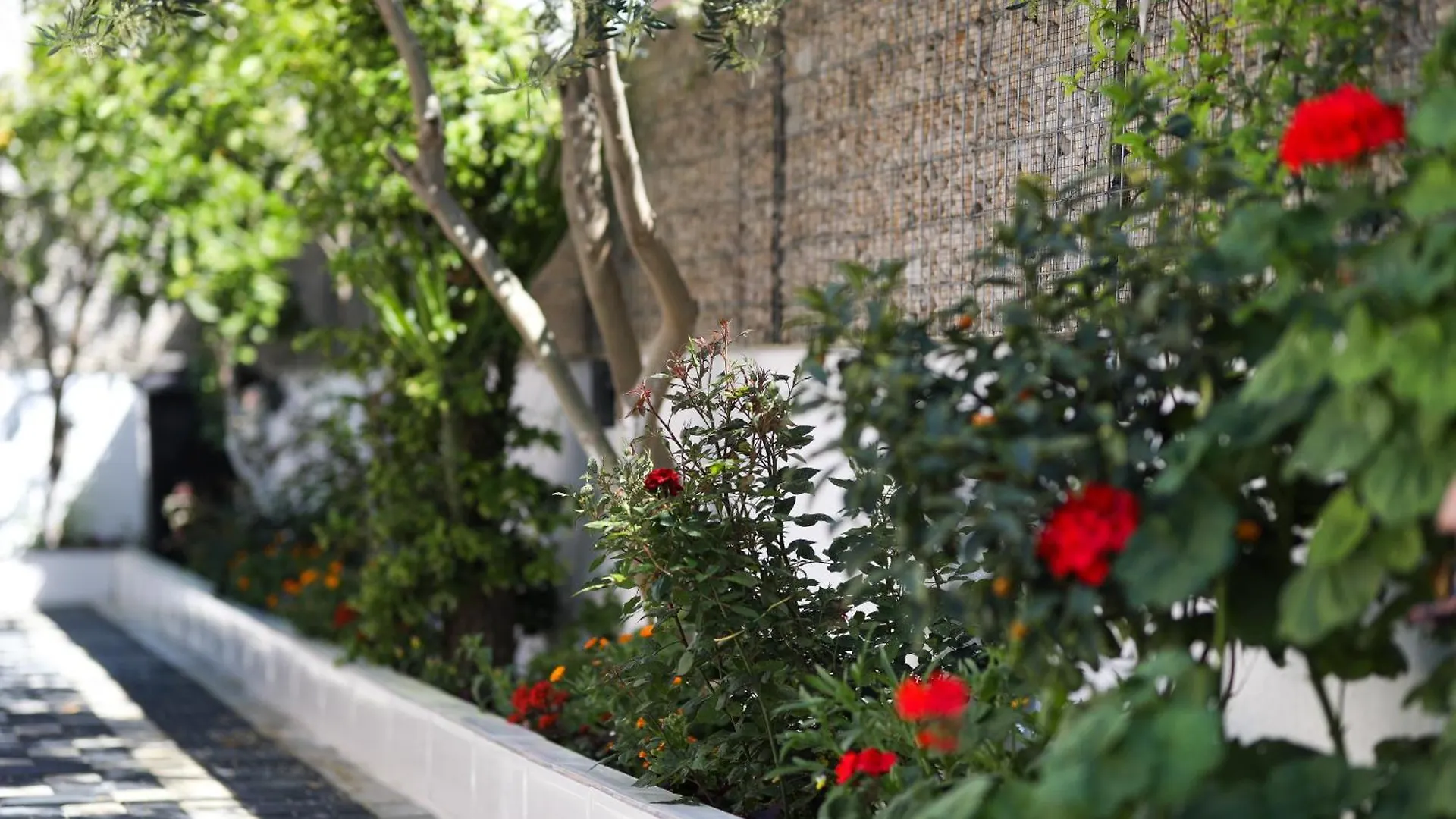 Vila Feliz - Premium Rooms With Free Private Parking Vlorë 0*,