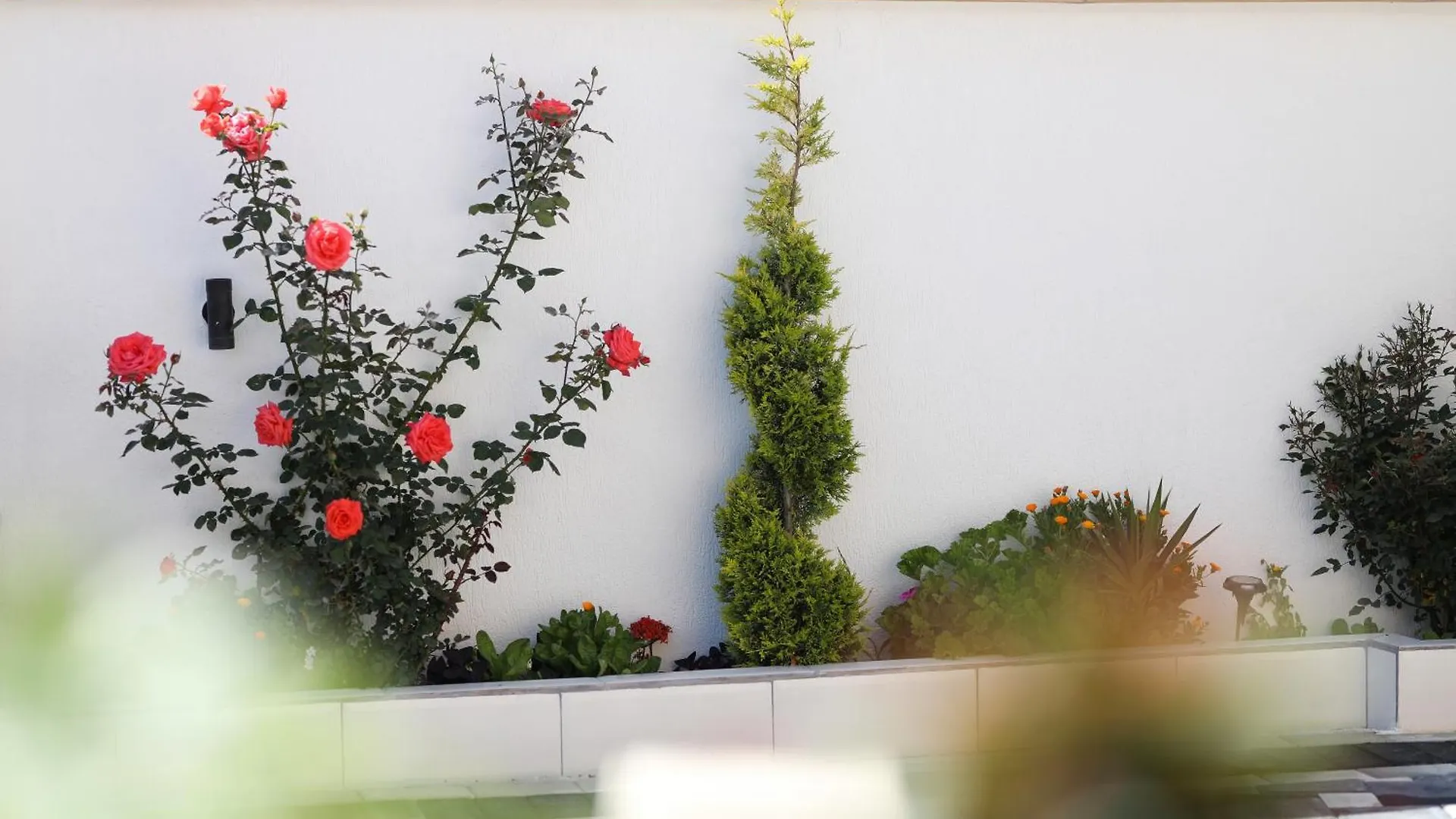 Vila Feliz - Premium Rooms With Free Private Parking Vlorë 0*,  Albánie