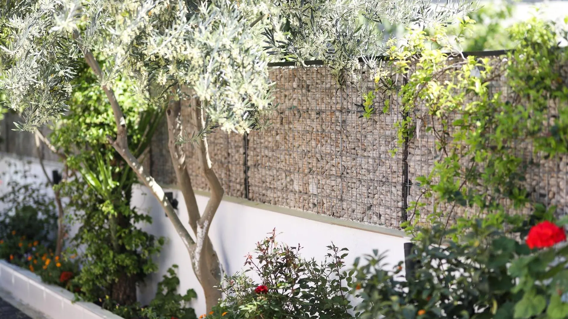 Vila Feliz - Premium Rooms With Free Private Parking Vlorë 0*,